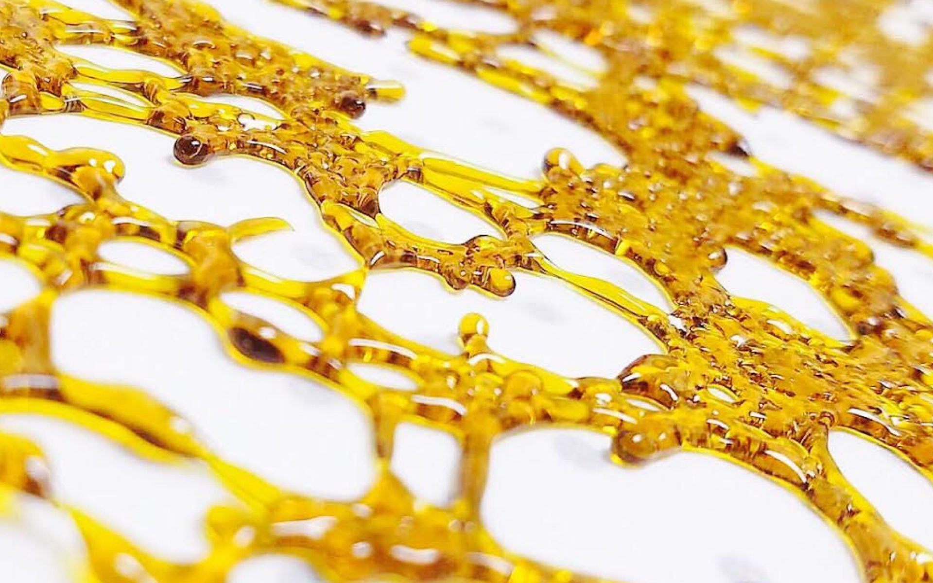 Marijuana shatter being held up to see through the holes. 