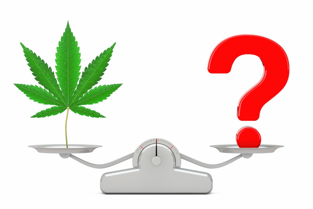 A scale holding a question mark and a marijuana leaf